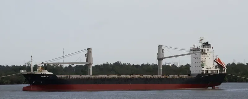 PROMOTE Container Ship IMO 9159309 photo 9