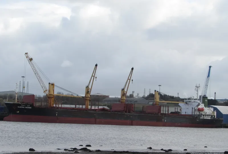 VIJITRA NAREE Bulk Carrier IMO 9159347