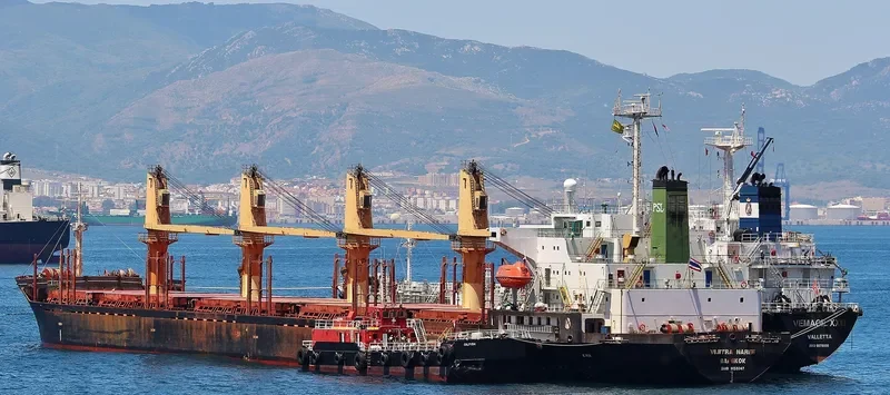 VIJITRA NAREE Bulk Carrier IMO 9159347 photo 2