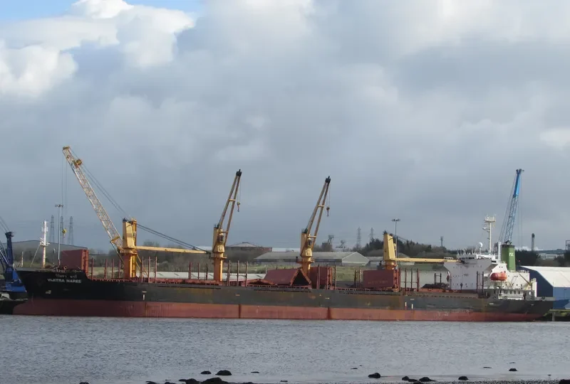 VIJITRA NAREE Bulk Carrier IMO 9159347 photo 3