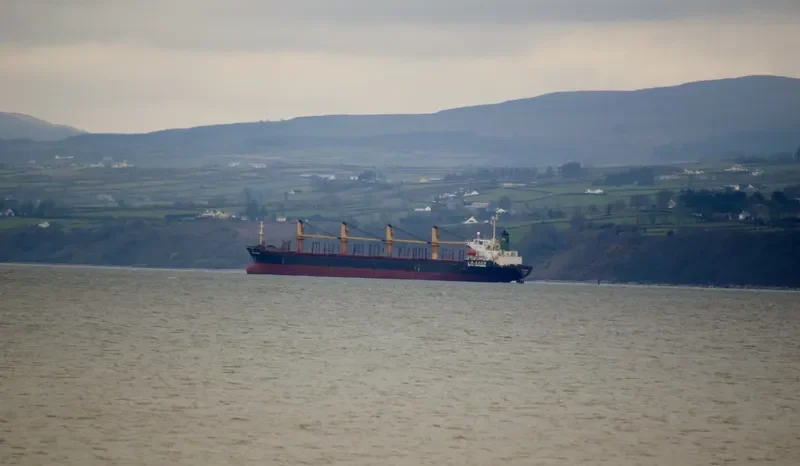 VIJITRA NAREE Bulk Carrier IMO 9159347 photo 5