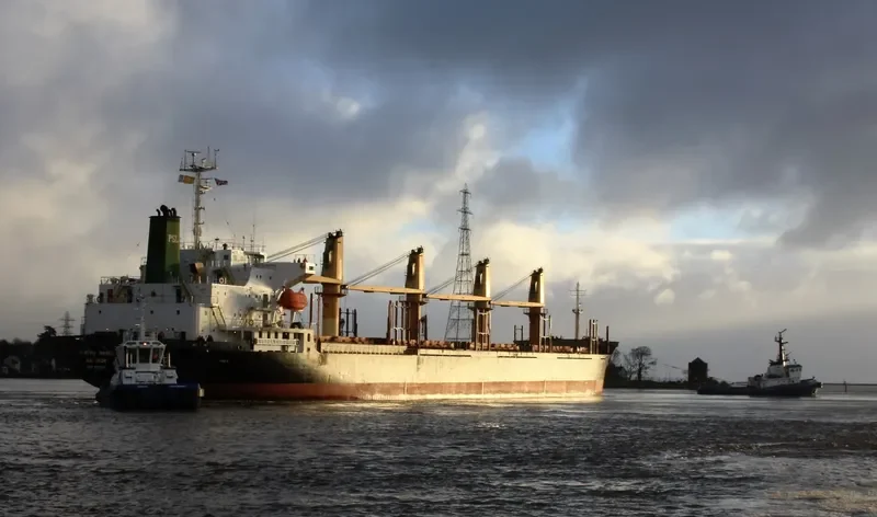 VIJITRA NAREE Bulk Carrier IMO 9159347 photo 8