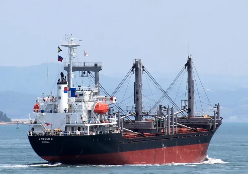 BADGER II General Cargo IMO 9159385
