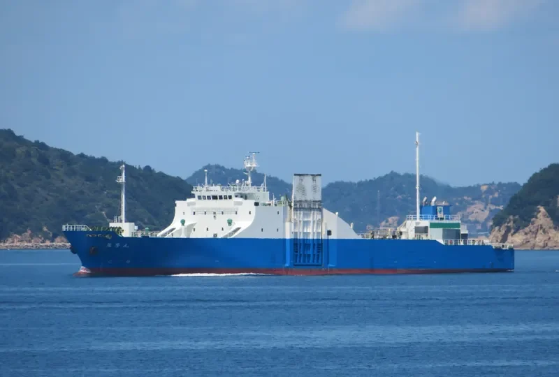 ROKURYU MARU Ro-Ro IMO 9159397 photo 6
