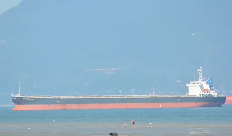 SAMUDERA Bulk Carrier IMO 9159517 photo 2