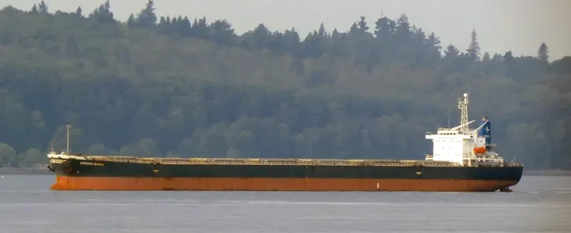 SAMUDERA Bulk Carrier IMO 9159517 photo 3