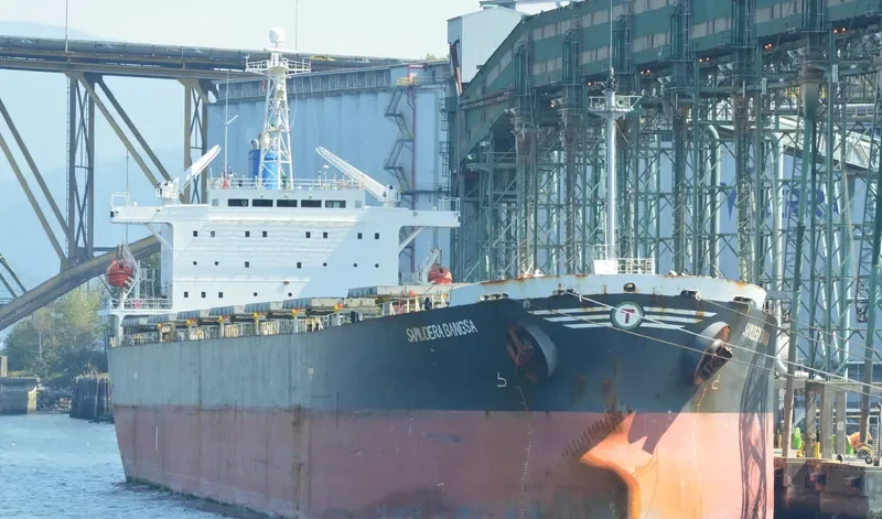 SAMUDERA Bulk Carrier IMO 9159517 photo 4