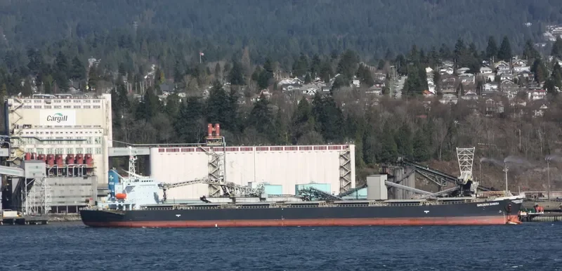 SAMUDERA Bulk Carrier IMO 9159517 photo 6