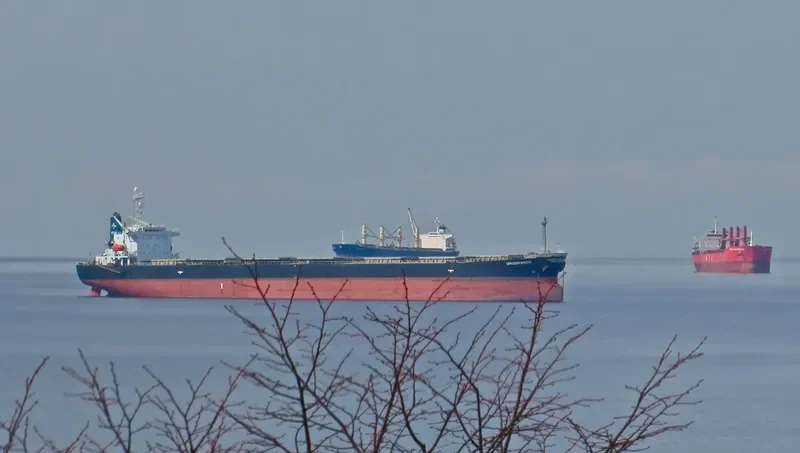 SAMUDERA Bulk Carrier IMO 9159517 photo 7