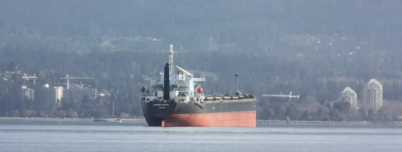 SAMUDERA Bulk Carrier IMO 9159517 photo 8