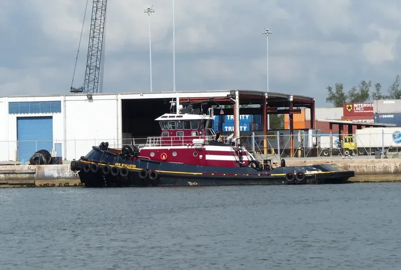 ERIN MCALLISTER General Cargo IMO 9159701 photo 7