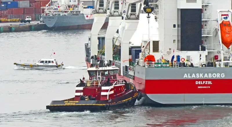 ERIN MCALLISTER General Cargo IMO 9159701 photo 9