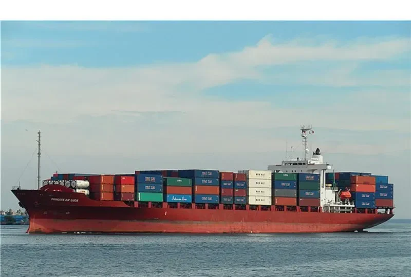 PRINCESS OF LUCK Container Ship IMO 9159842 photo 8