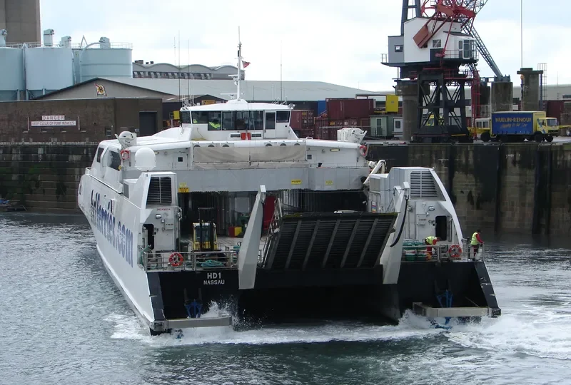 HARMONY FLOWER Passenger Ship IMO 9160114 photo 4