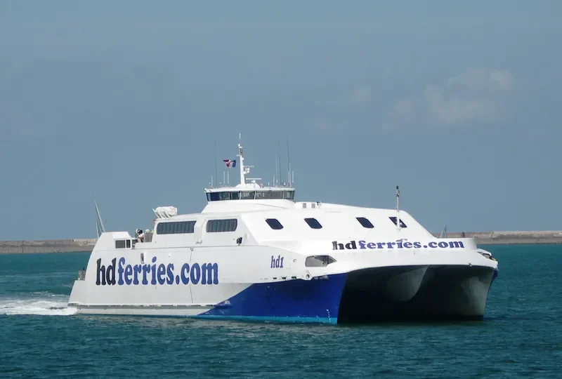 HARMONY FLOWER Passenger Ship IMO 9160114 photo 7