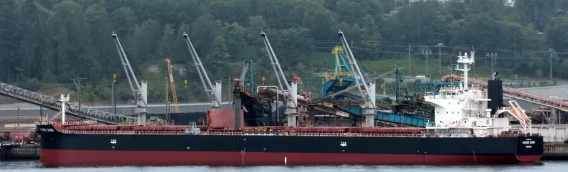 FLOURISH OCEAN General Cargo IMO 9160384 photo 2