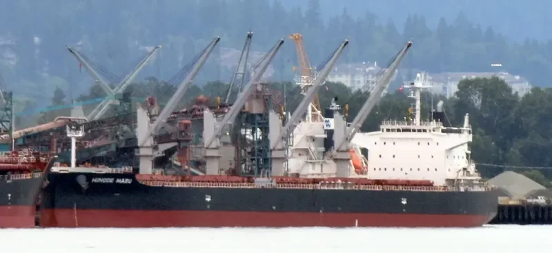 FLOURISH OCEAN General Cargo IMO 9160384 photo 3