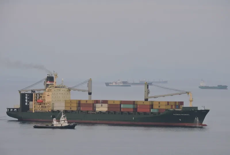 PATRICIA RICKMERS Container Ship IMO 9160396 photo 2