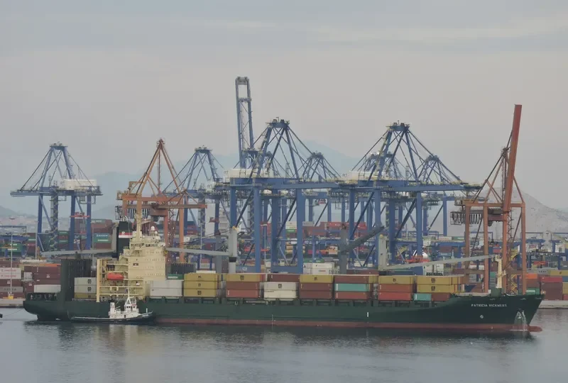 PATRICIA RICKMERS Container Ship IMO 9160396 photo 3