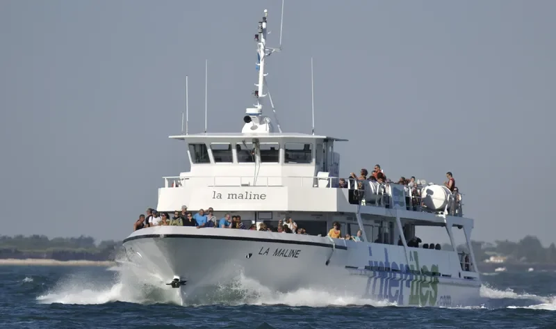 LA MALINE Passenger Ship IMO 9160578 photo 6