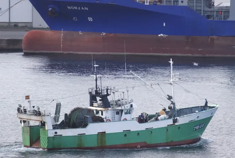 LEON PADIN DOS General Cargo IMO 9160671 photo 3