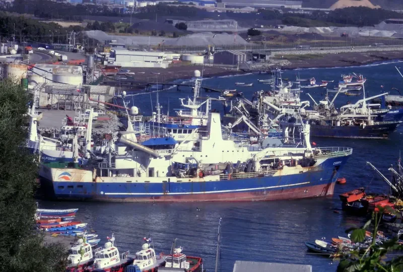 COBRA General Cargo IMO 9160695