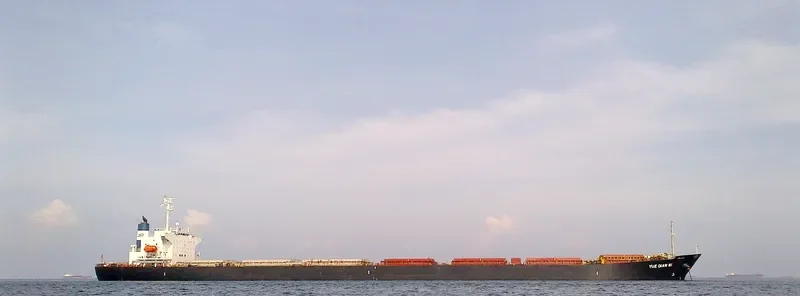 YUE DIAN 81 Bulk Carrier IMO 9161041 photo 4