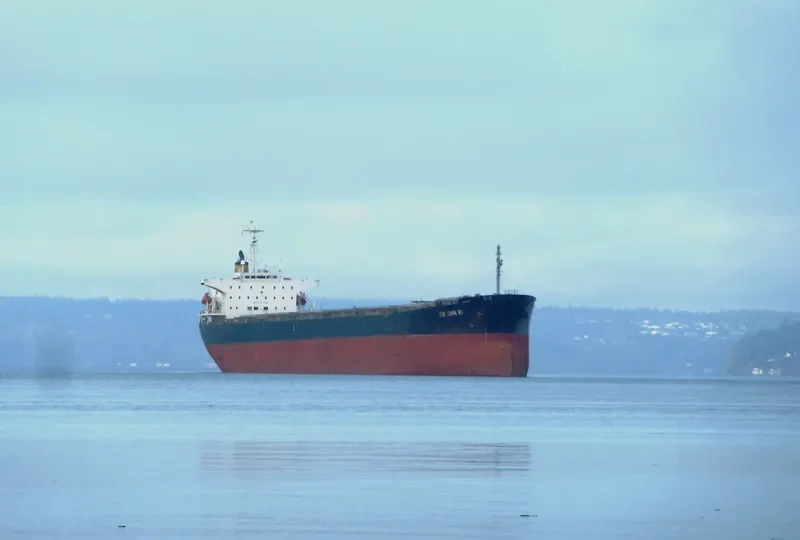 YUE DIAN 81 Bulk Carrier IMO 9161041 photo 10