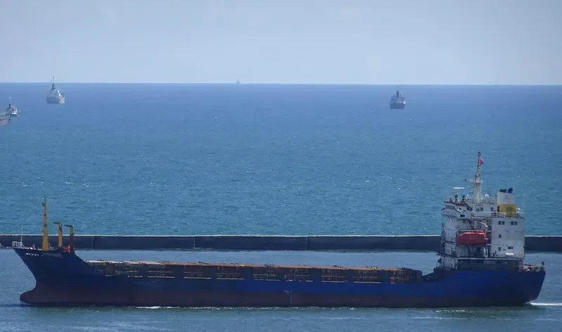CHUN YIP Container Ship IMO 9161443 photo 2