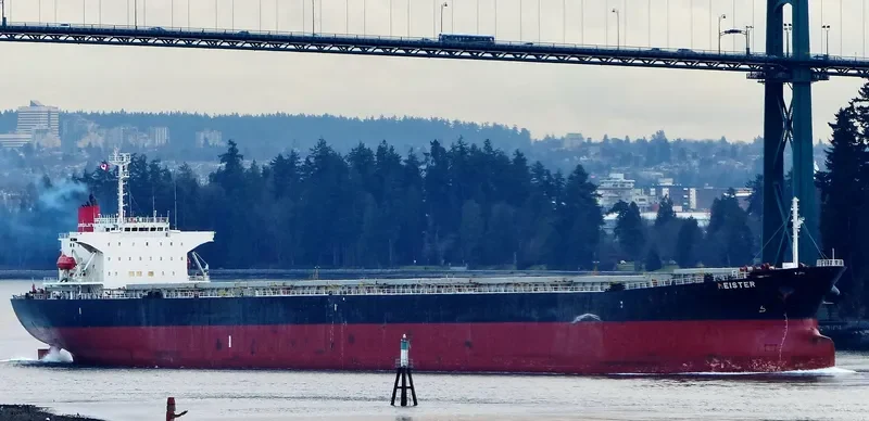 DE YUAN Bulk Carrier IMO 9161467 photo 3
