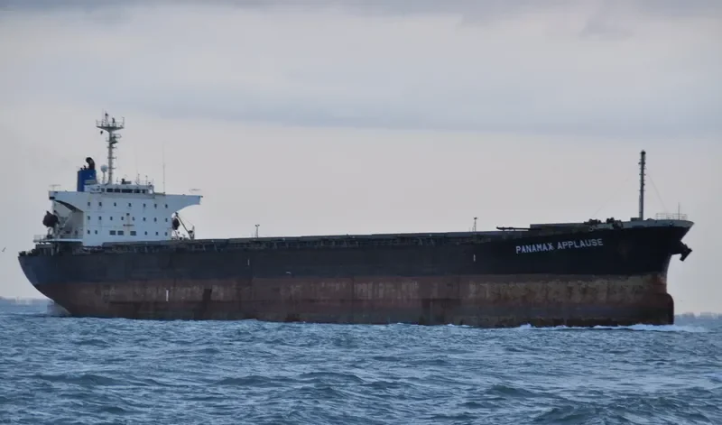 PANAMAX APPLAUSE Bulk Carrier IMO 9161479
