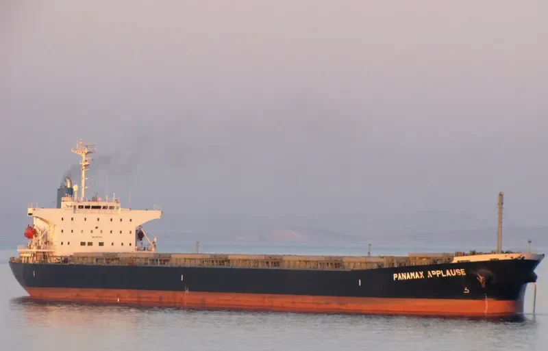 PANAMAX APPLAUSE Bulk Carrier IMO 9161479 photo 3