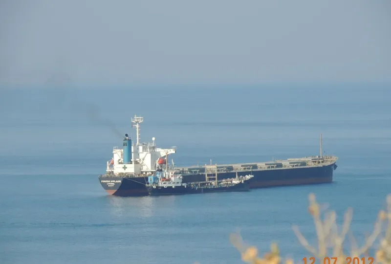 PANAMAX APPLAUSE Bulk Carrier IMO 9161479 photo 4