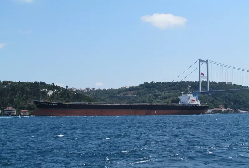 PANAMAX APPLAUSE Bulk Carrier IMO 9161479 photo 6