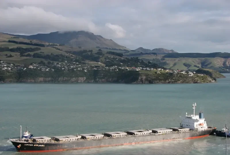 PANAMAX APPLAUSE Bulk Carrier IMO 9161479 photo 8