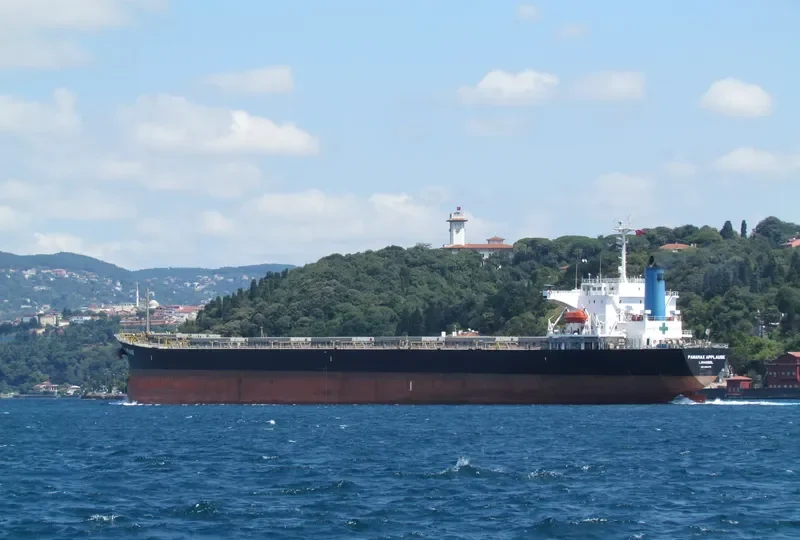 PANAMAX APPLAUSE Bulk Carrier IMO 9161479 photo 10