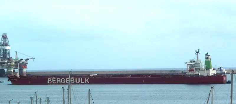 BERGE YOTEI Bulk Carrier IMO 9161508 photo 5