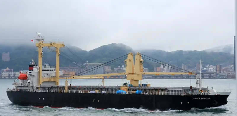 SWADAYA LESTARI I General Cargo IMO 9161522 photo 2