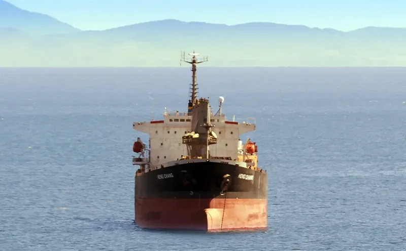 YING LI Bulk Carrier IMO 9161596 photo 2