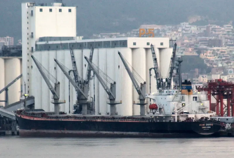 YING LI Bulk Carrier IMO 9161596 photo 7