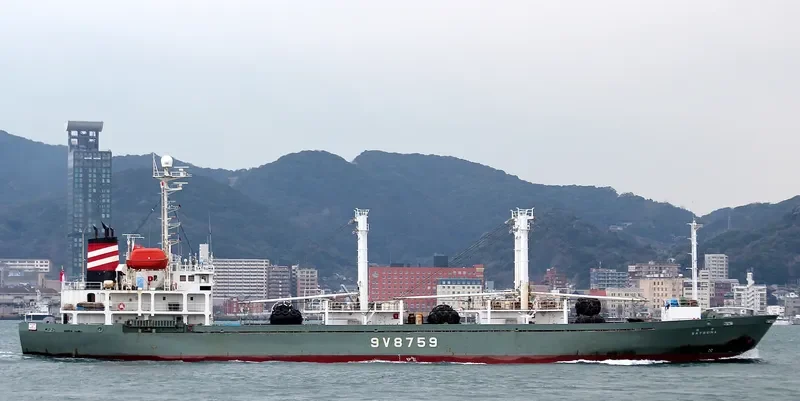 YUN RUN 3 General Cargo IMO 9161613 photo 8