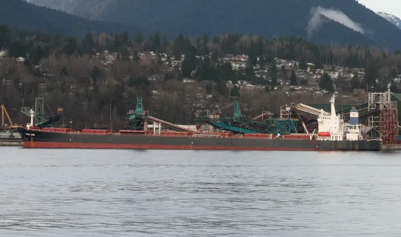 BEI LUN HAI 26 Bulk Carrier IMO 9161742 photo 2