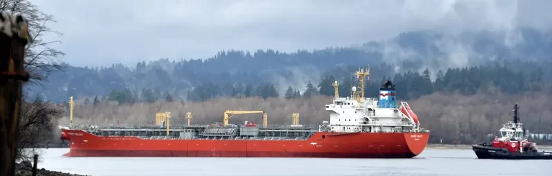 SAKURA Tanker IMO 9161895 photo 6