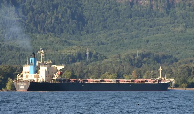 LING GANG 9 Bulk Carrier IMO 9162019 photo 4