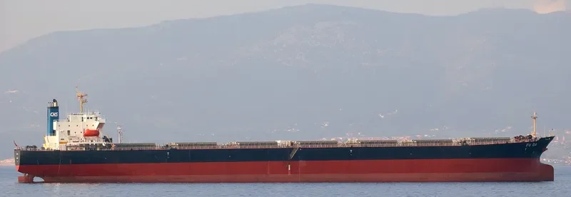 FU DA Bulk Carrier IMO 9162057 photo 9