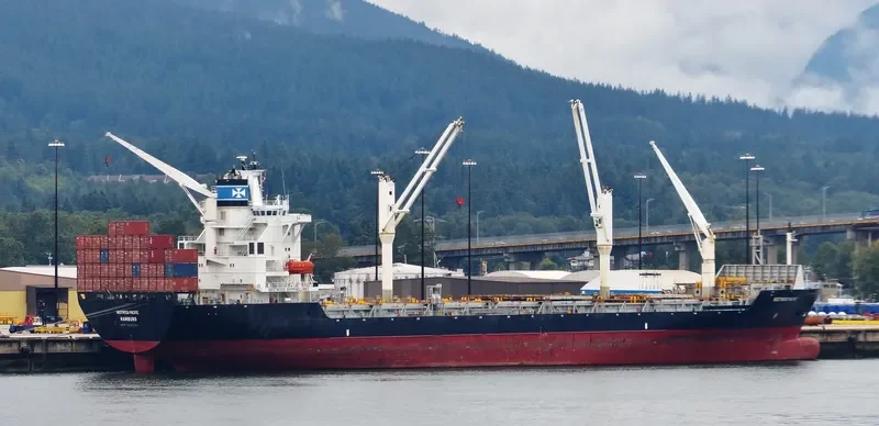 XIN LONG YUN 86 Container Ship IMO 9162265 photo 18