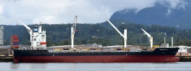 XIN LONG YUN 86 Container Ship IMO 9162265 photo 39