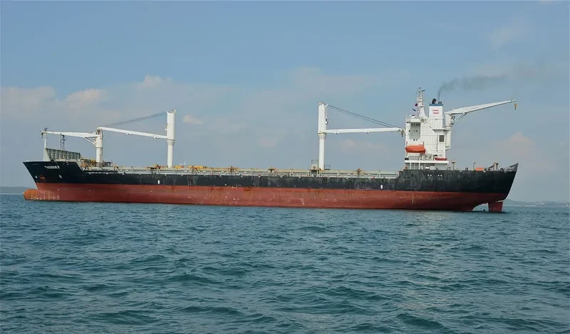 MSC SKY II Container Ship IMO 9162277 photo 2