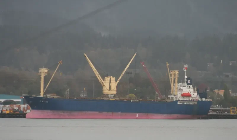 DOLPHIN STAR General Cargo IMO 9162394 photo 8