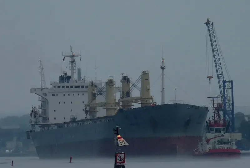 YANG HAI Bulk Carrier IMO 9162447